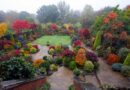 Gyönyörű színekben pompáza őszi kertek